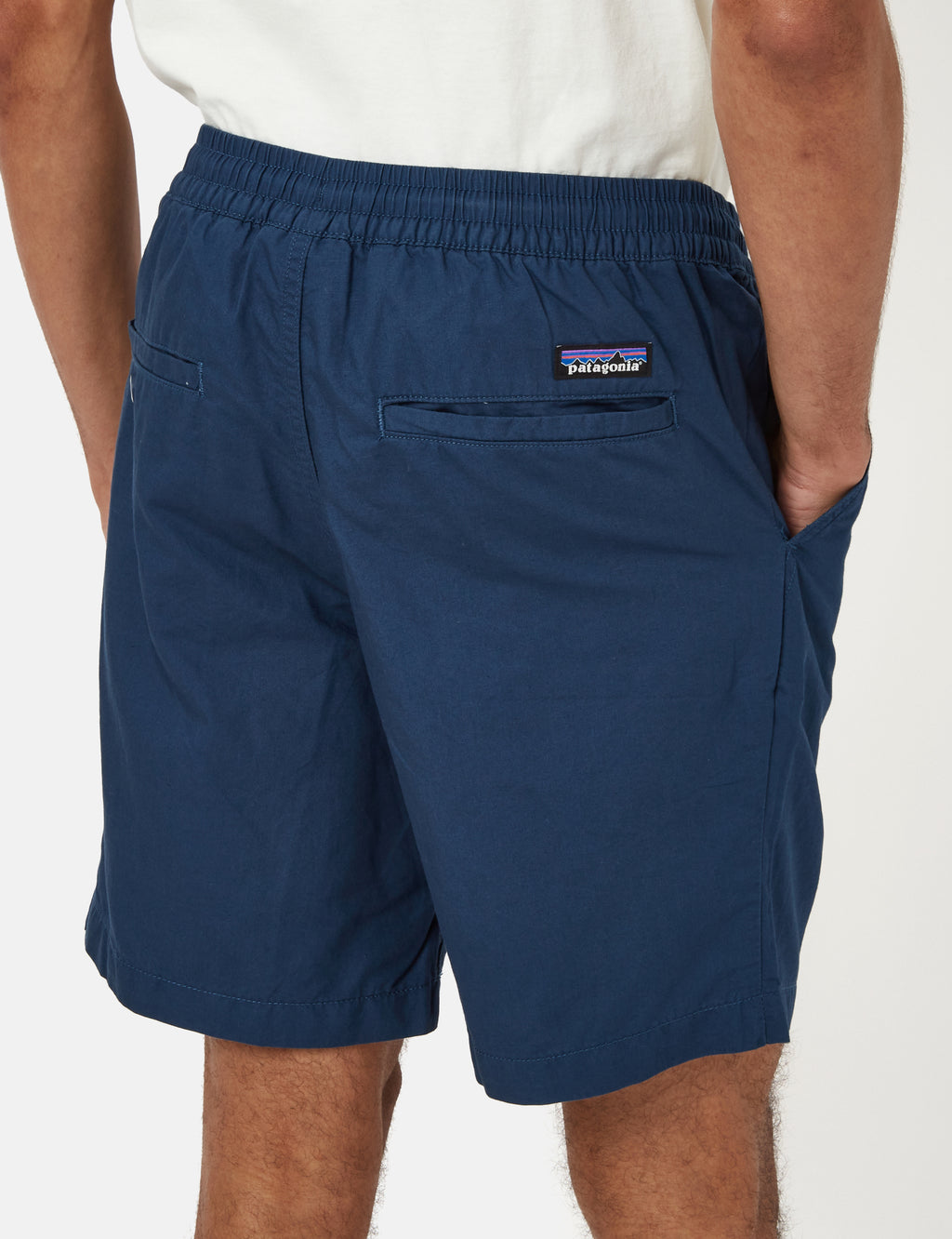 Patagonia volley shorts top
