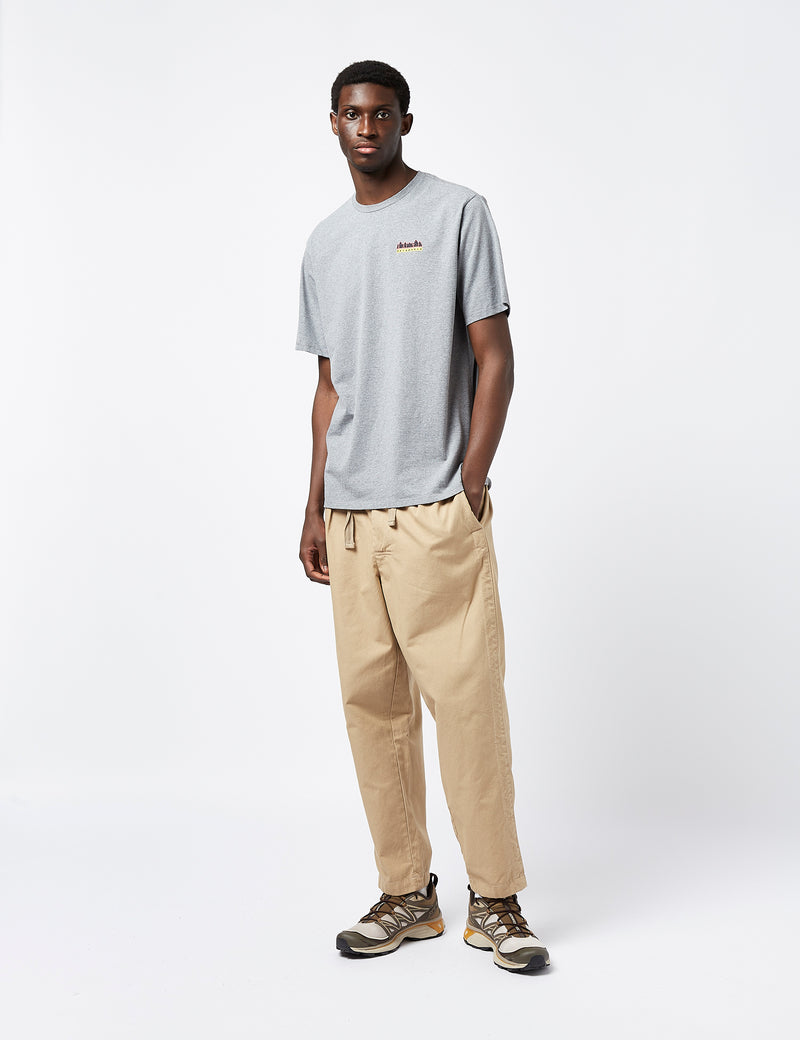 Patagonia Fitz Roy Wild Responsibili-Tee T-Shirt - Gravel Heather