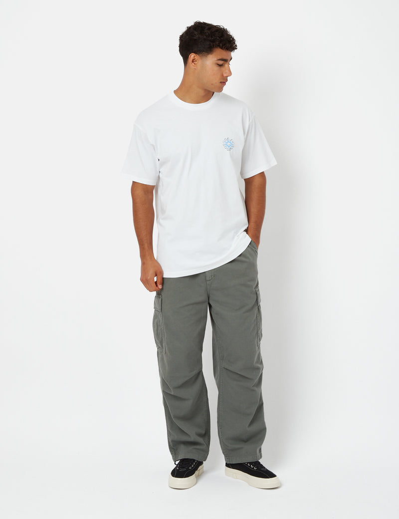 Carhartt-WIP Splash T-Shirt (Loose) - Heavy Stone Wash White