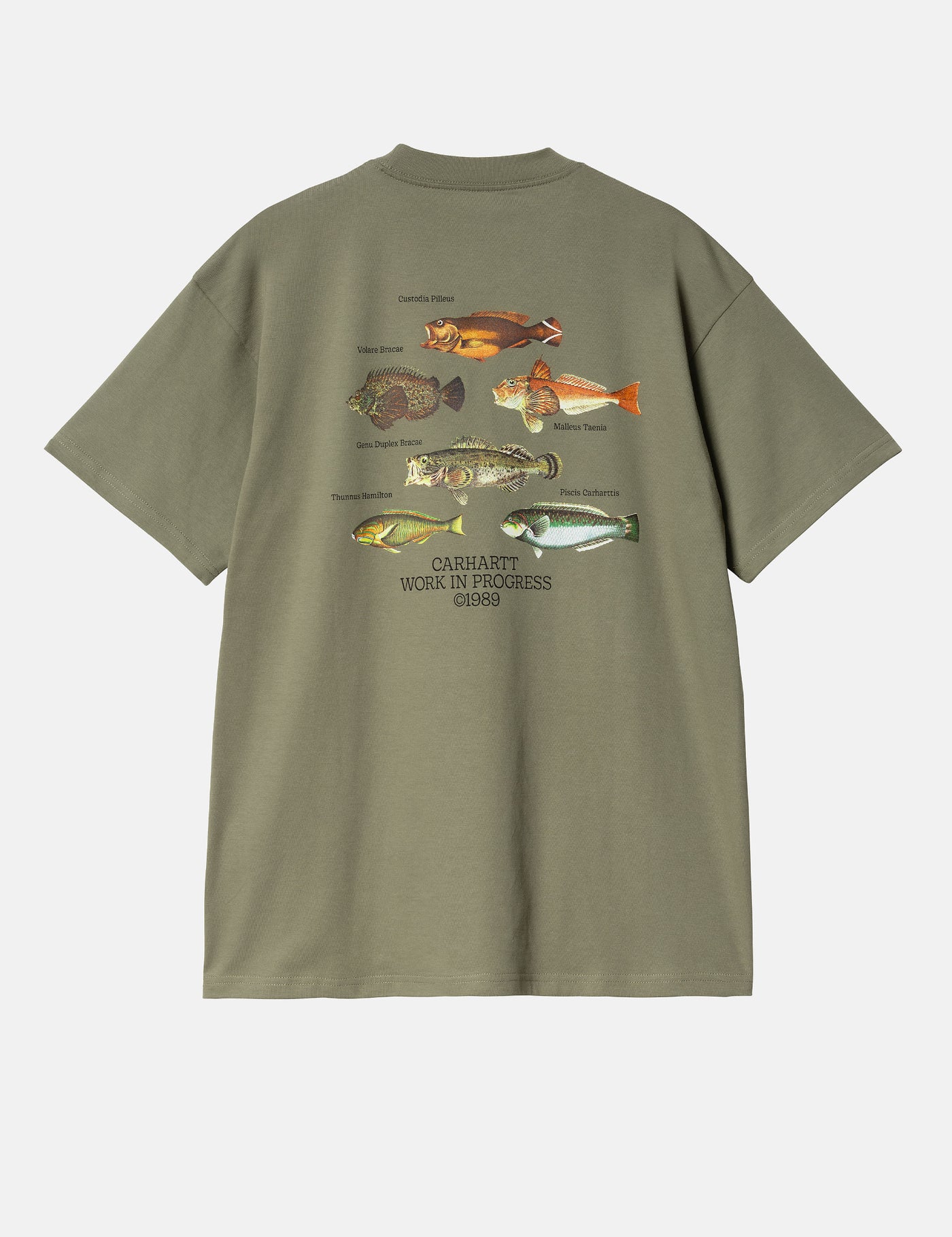Carhartt-WIP Fish T-Shirt (Loose) - Dollar Green | Urban