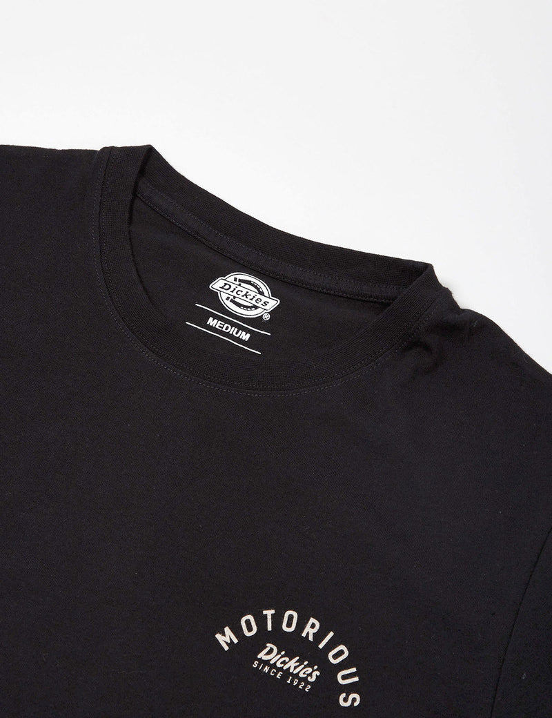 Dickies Groveland T-Shirt - Black