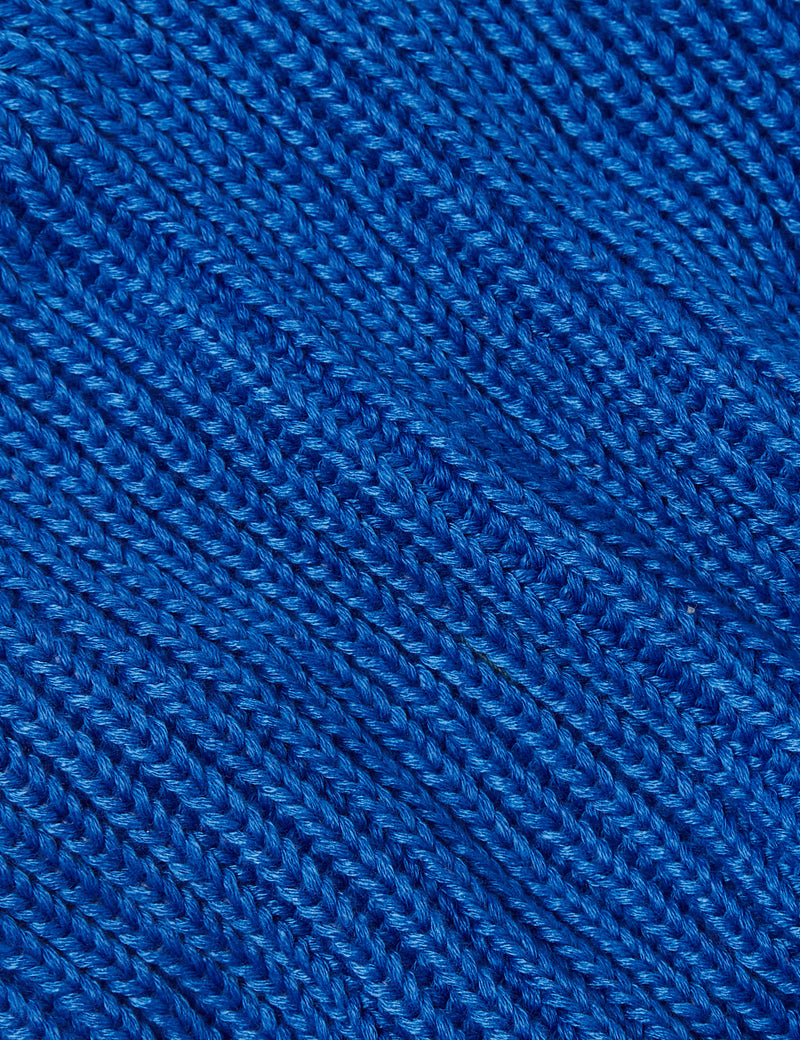Rolled Beanie Hat von Patagonia Fisherman - Alpine Blue