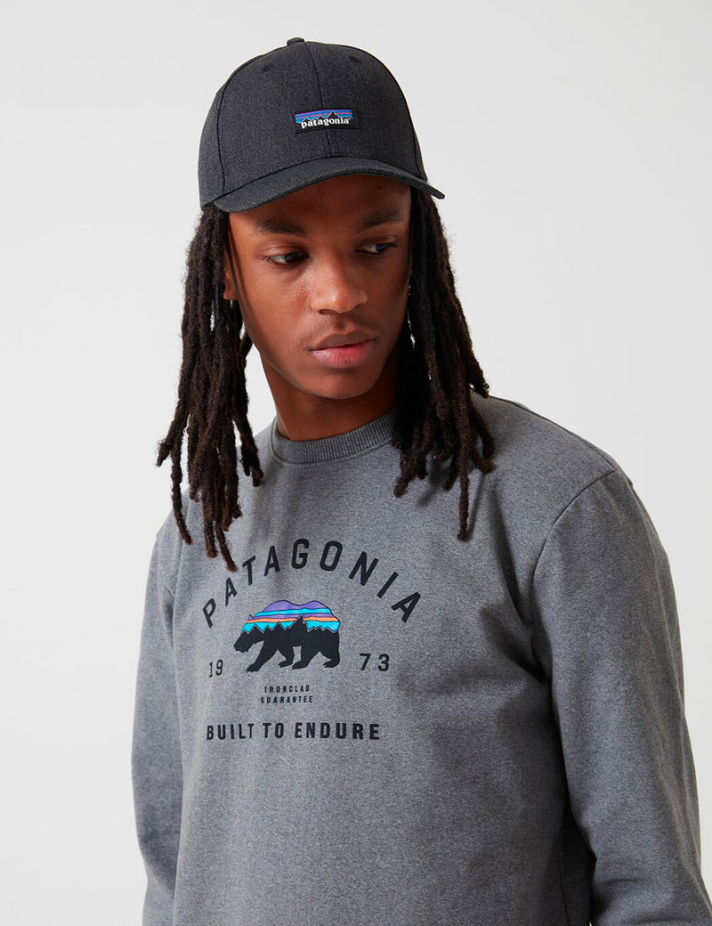 Patagonia tin 2025 shed cap