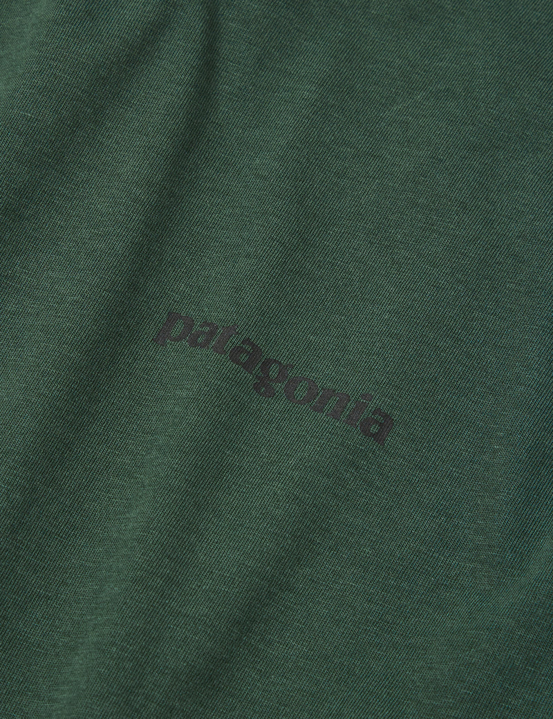 PatagoniaP-6ミッションオーガニックTシャツ-ピニオングリーン