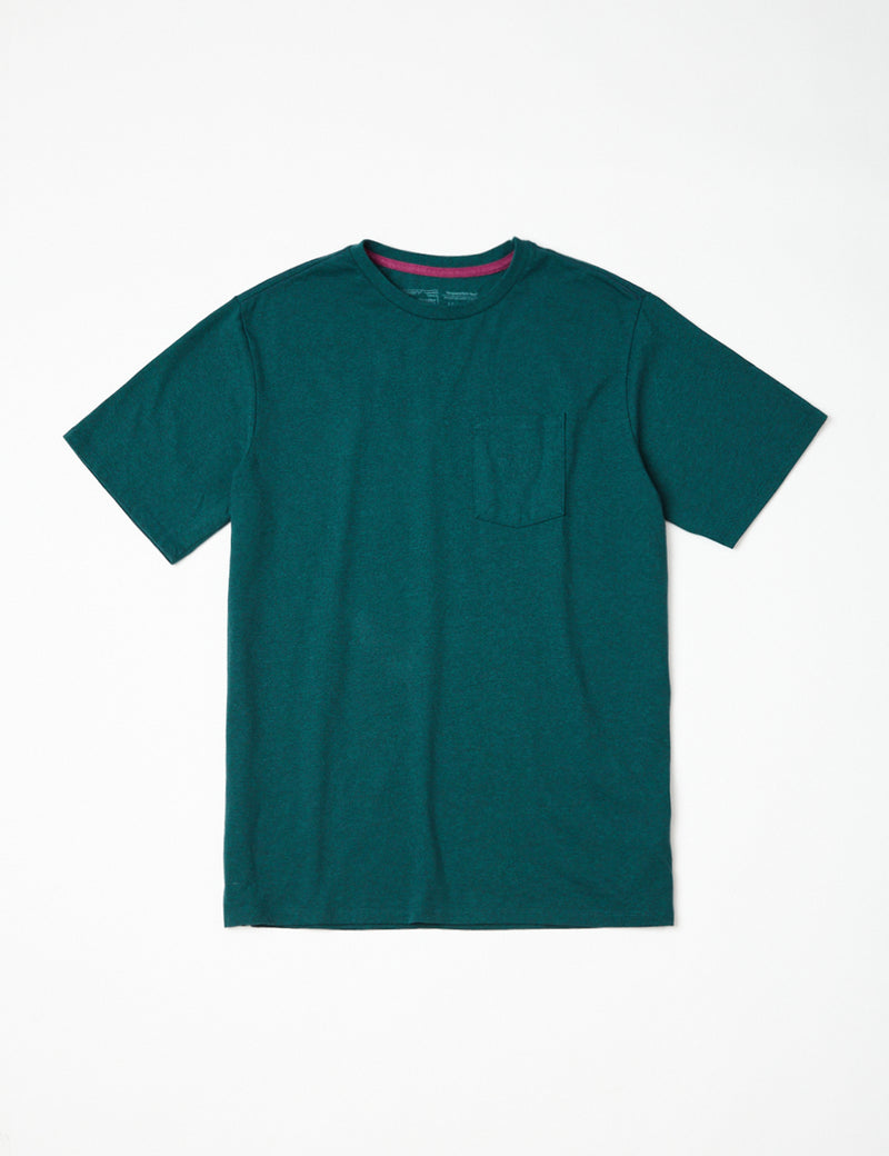Patagoniaフォージマーククレストポケットレスポンシビリ-Tシャツ-ボレアリスグリーン