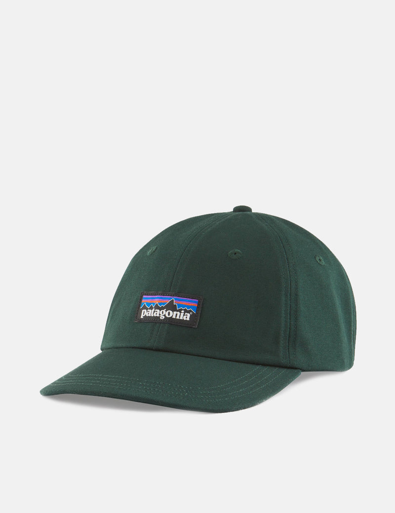 PatagoniaP-6ラベルトラッドキャップ-ノーザングリーン
