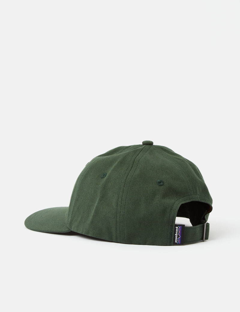 Casquette Patagonia P-6 Label Trad - Pinyon Green