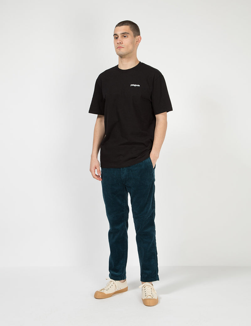 パタゴニアフィッツロイホライゾンズレスポンシビリ-Tシャツ-ブラック