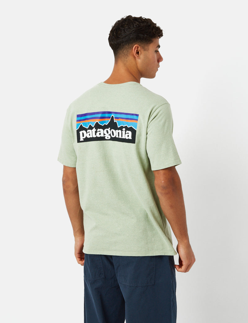 Patagonia sale t shorts