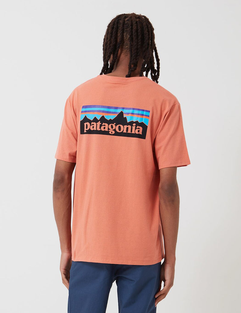 パタゴニアP-6ロゴポケットレスポンシビリ-Tシャツ-メロウメロン