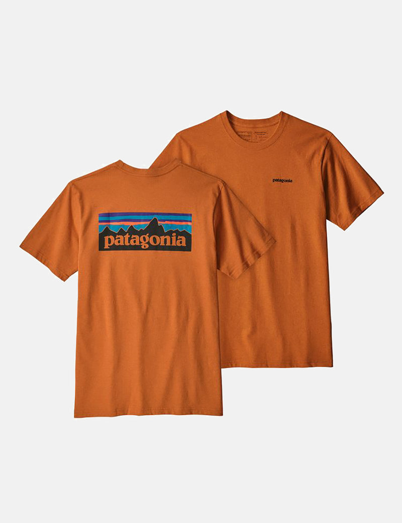 パタゴニアP-6ロゴレスポンシビリ-Tシャツ-マリーゴールドイエロー