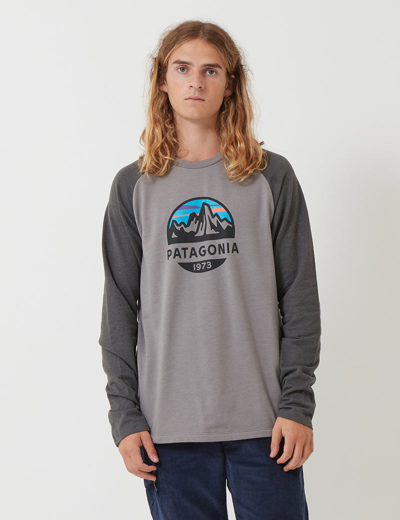 Patagonia Fitz Roy Scope 스웻 셔츠-페더 그레이
