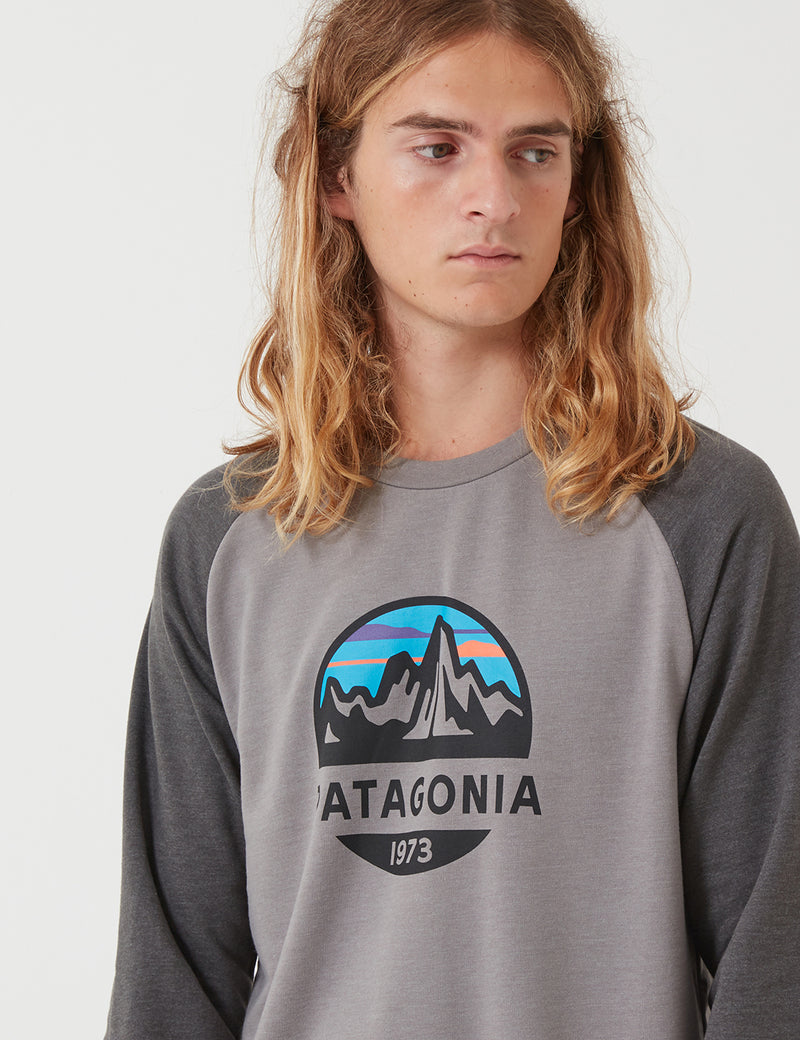 Sweat Patagonia Fitz Roy Scope - Feather Grey