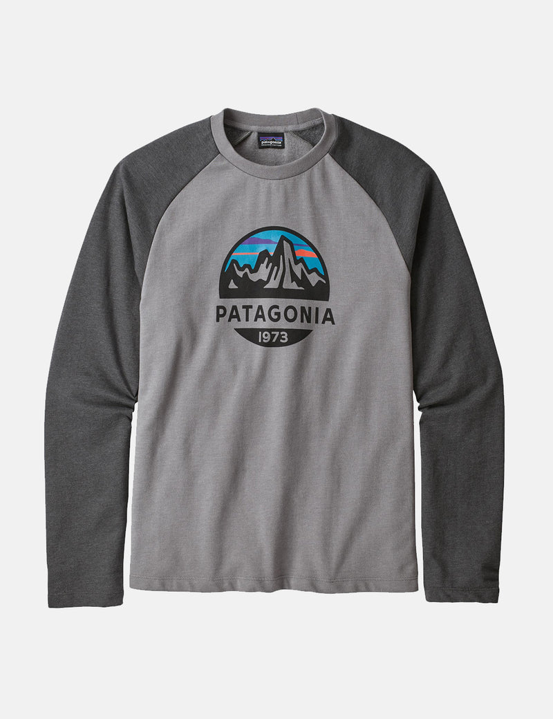 Patagonia Fitz Roy Scope Sweatshirt - Feder Grau