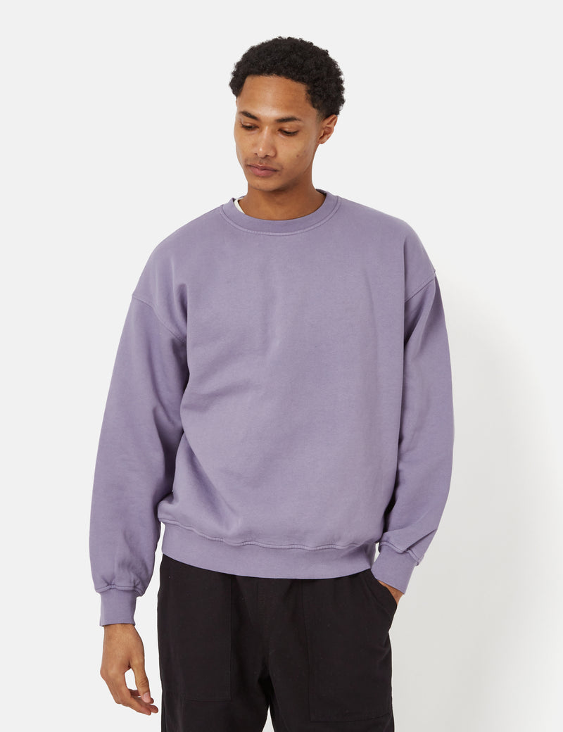 solidaritet blanding folder Colorful Standard Oversized Crew Sweatshirt (Organic) - Purple Jade I UE. –  URBAN EXCESS