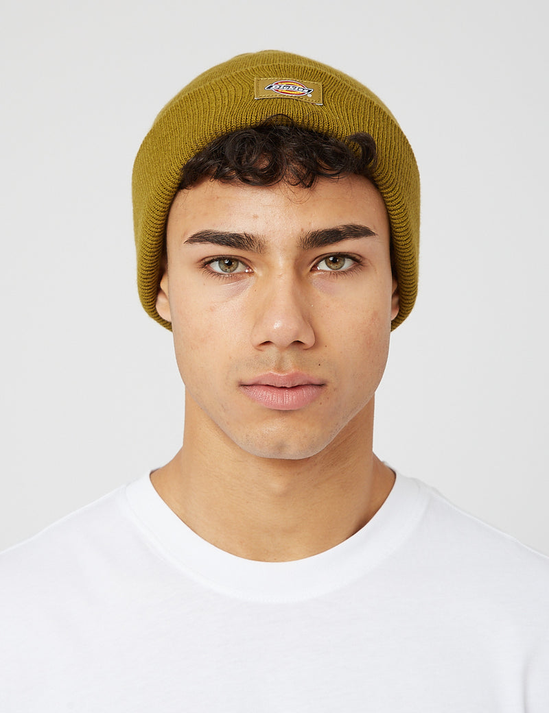 Dickies Gibsland Beanie Hat - Green Moss