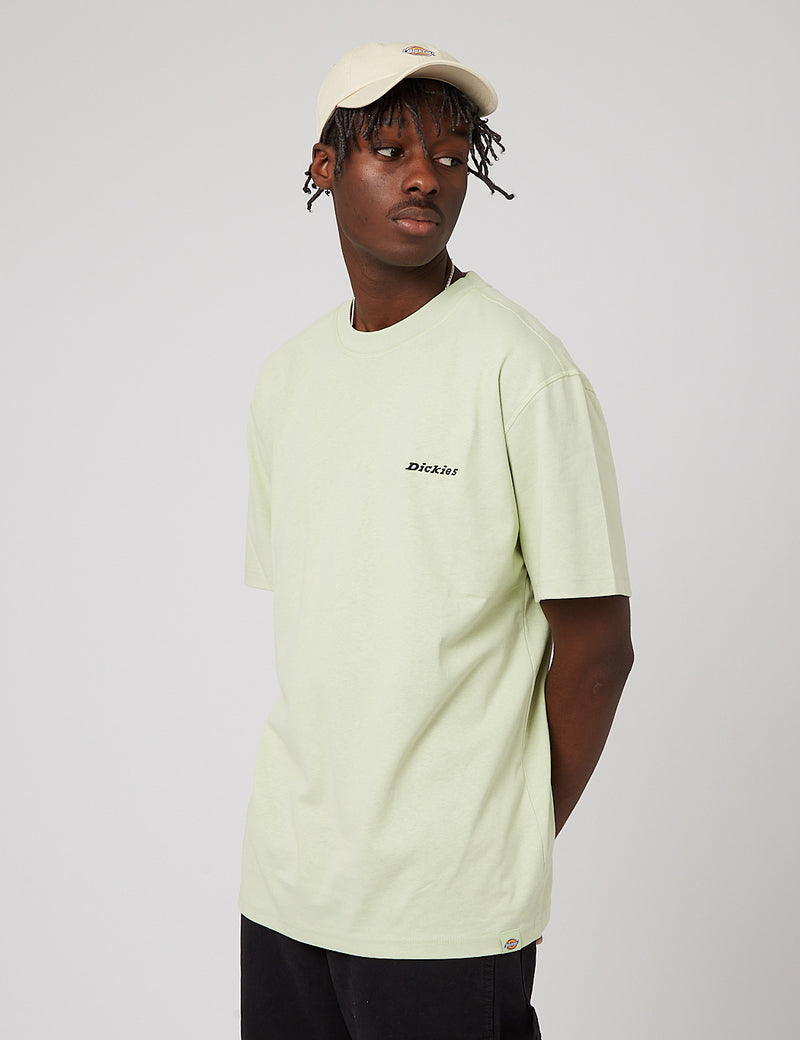 T-Shirt Dickies SS Loretto - Vert Céladon