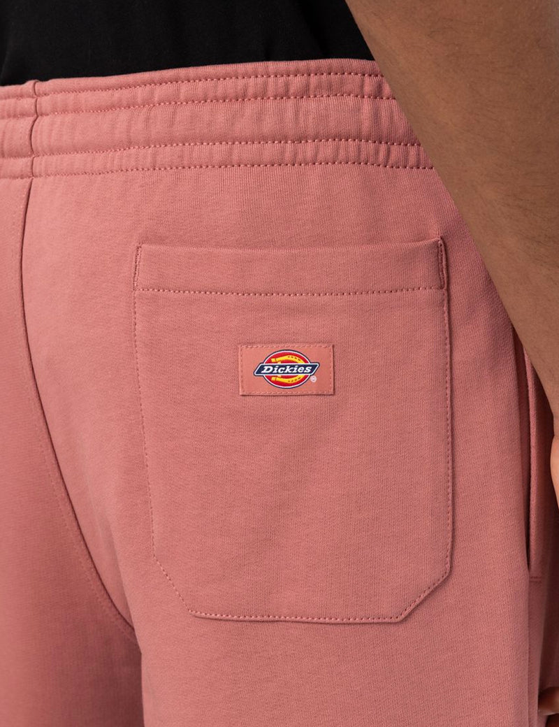 Dickies Champlin Shorts - Withered Rose