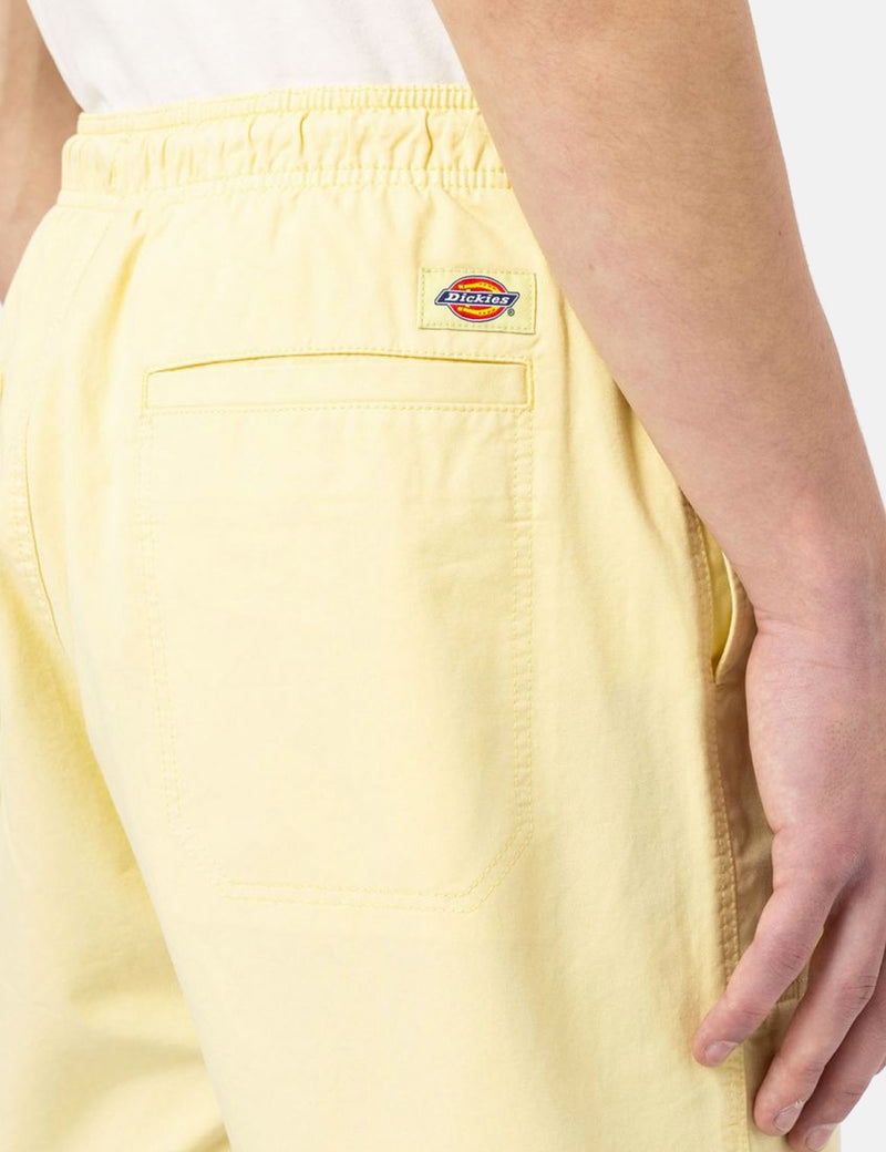 Dickies Pelican Rapids Shorts – Helle Banane