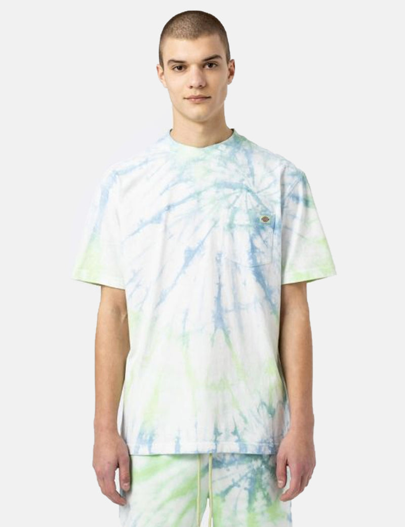 T-Shirt Dickies Seatac - Vert Céladon