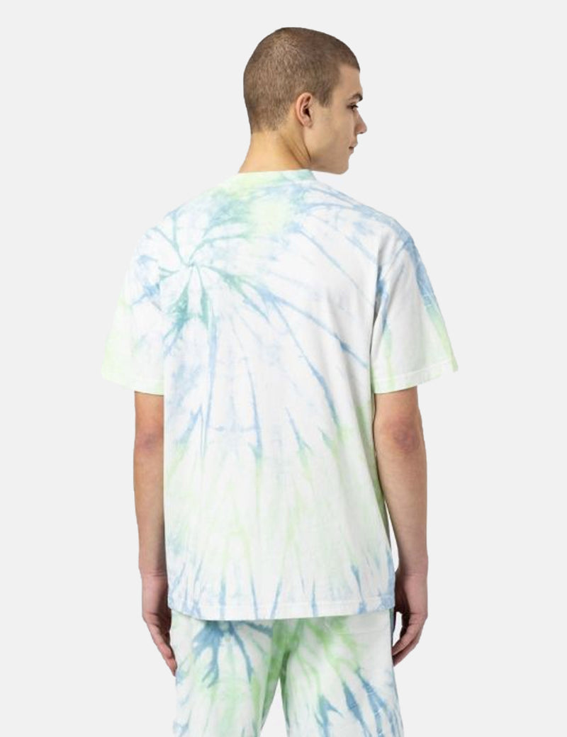 T-Shirt Dickies Seatac - Vert Céladon