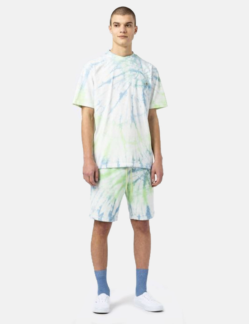 T-Shirt Dickies Seatac - Vert Céladon
