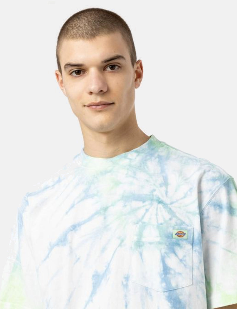 T-Shirt Dickies Seatac - Vert Céladon