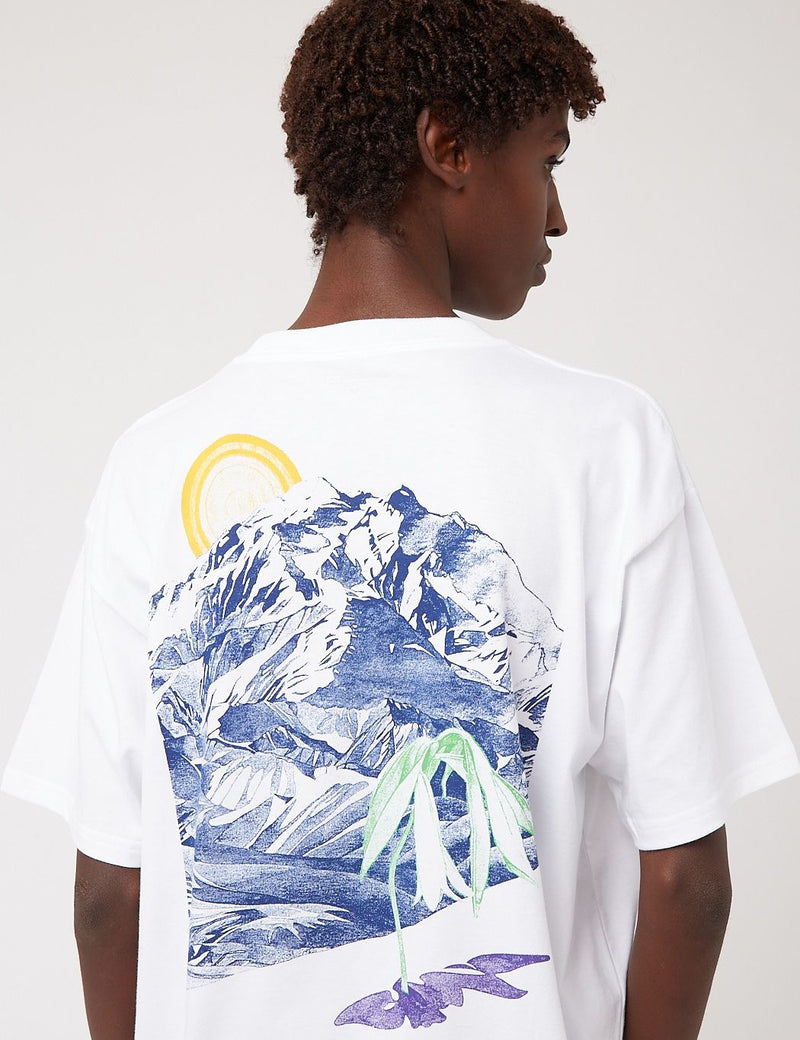 carhartt wip mountain t shirt