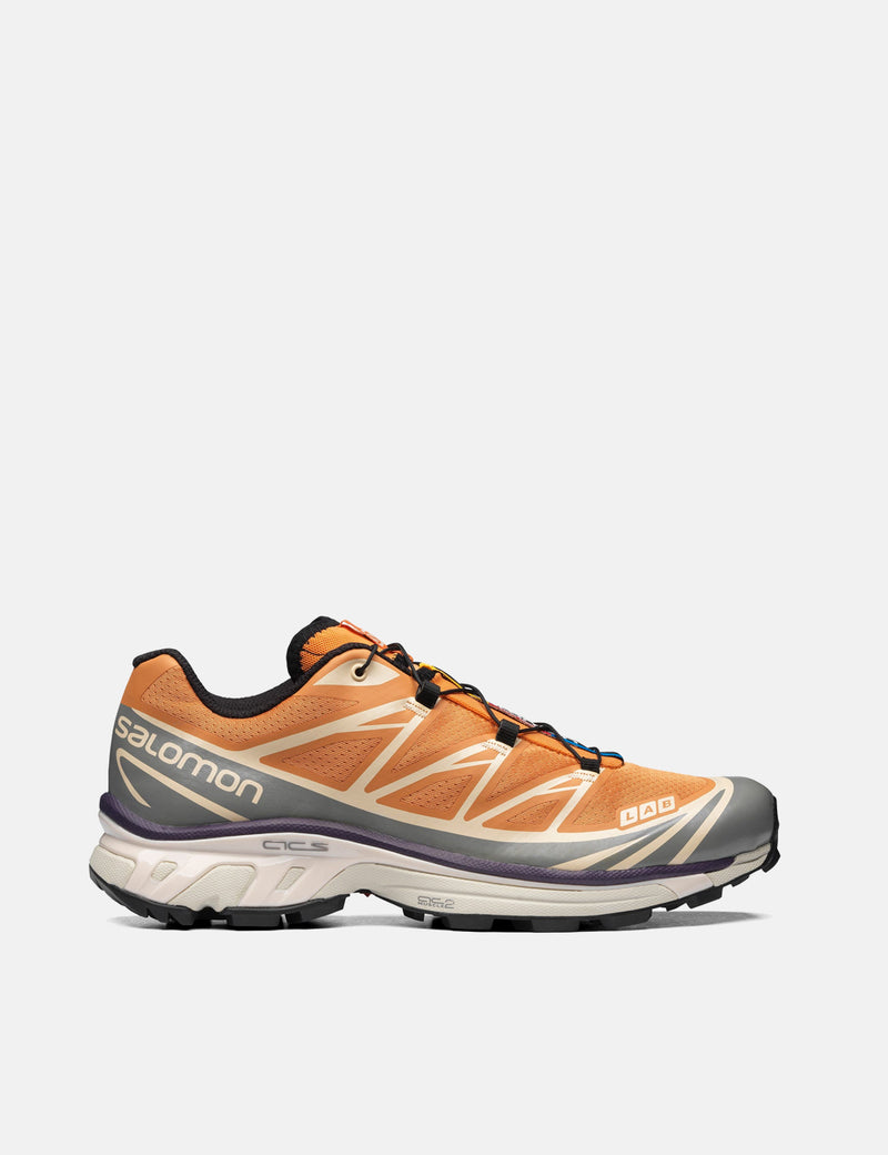 SalomonXT-6トレーナー-アプリコットバフ/フロストグレー/ベルベットモーニング