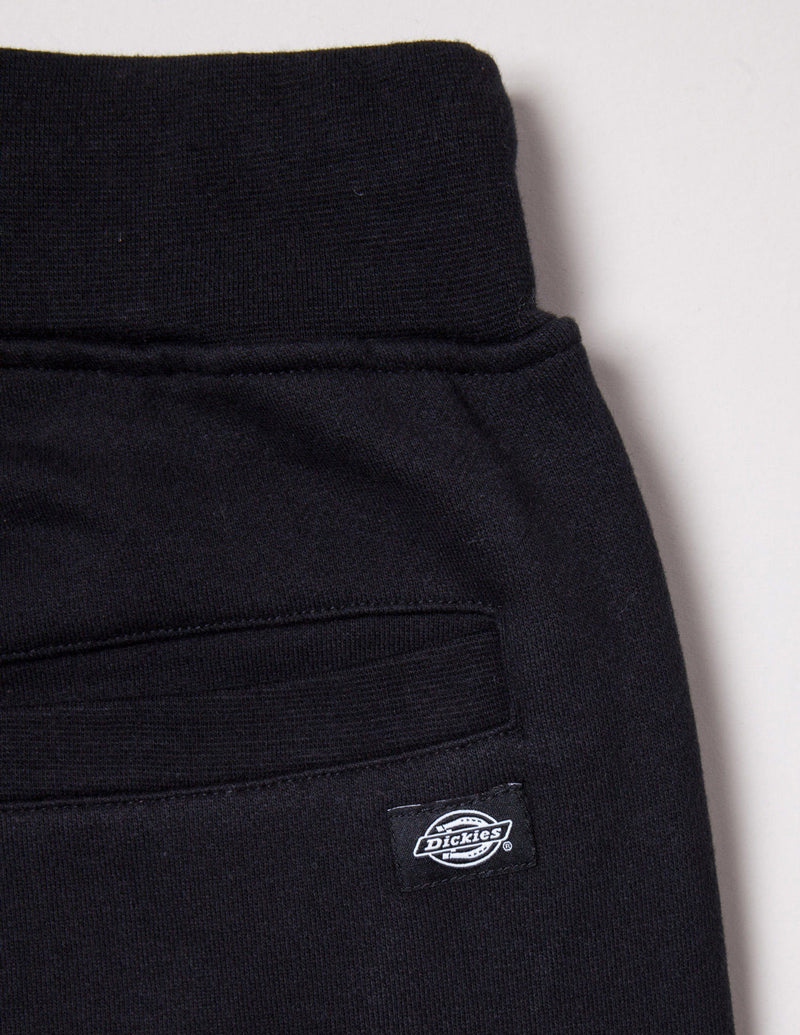 Dickies Clyman Pant - Black